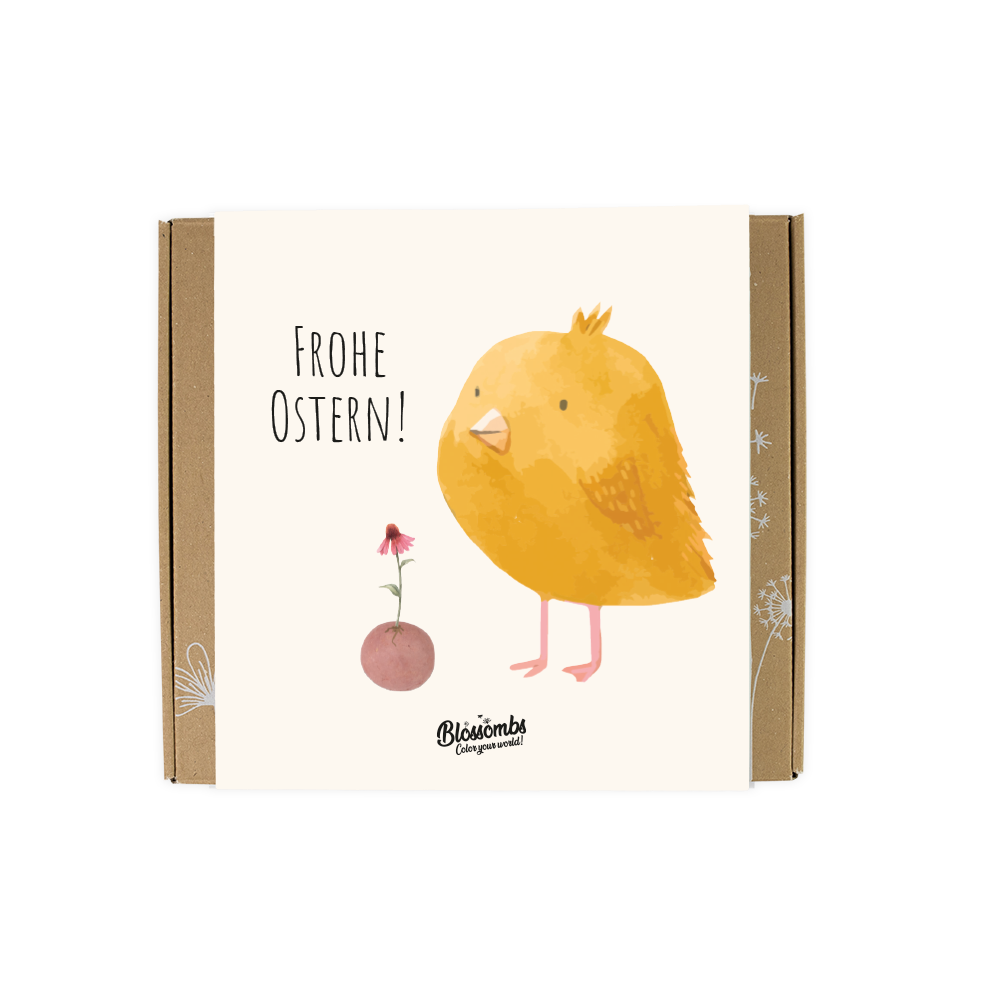 Ostern Geschenkbox Medium "Küken" mit 9 Samenbomben
