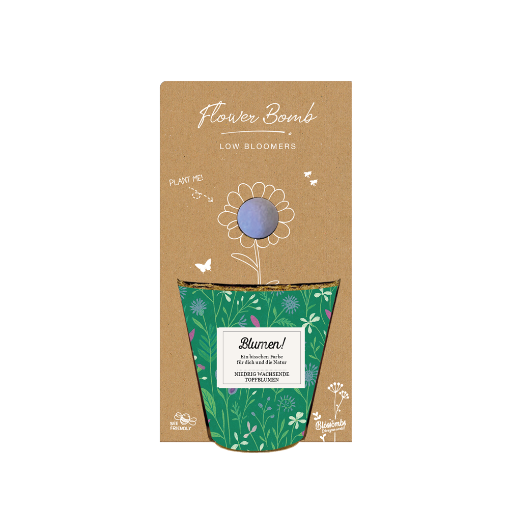 Grow Kit „Blumen!“ mit 1 Saatbombe für Topfblumen
