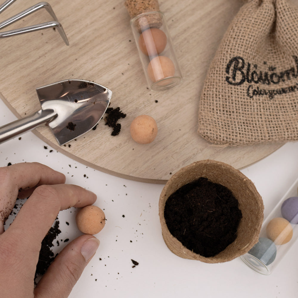 Grow Kit „Alles Liebe!“ mit Saatbombe der Schmetterlingsmischung