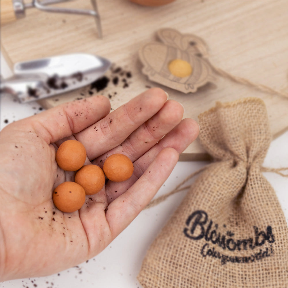Grow Kit „Für dich!“ mit Saatbombe der Holländischen Mischung