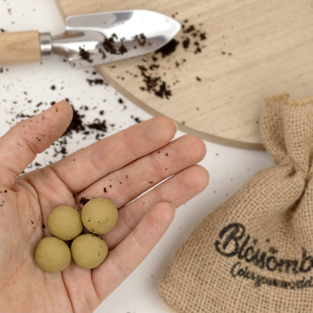 Geschenkbox Mini „Danke“ mit 4 Garten- & Küchenkräuter-Blossombs