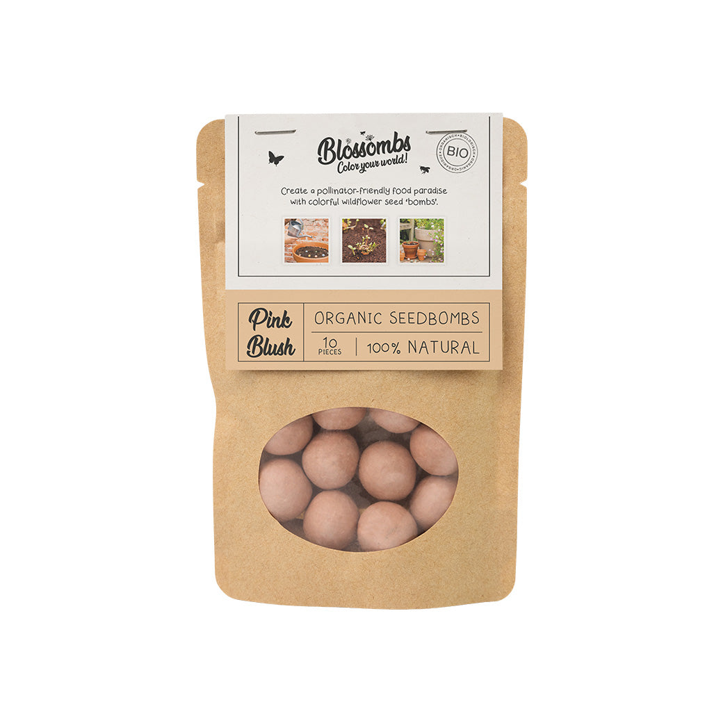 Kraft bag (mit 10 ofder 25 Blossombs Samenbomben)