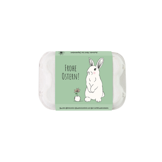 Ostern Eierschachtel "Hase" mit 6 Samenbomben