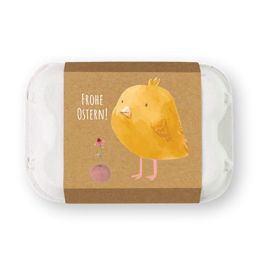 Ostern Eierschachtel "Küken" mit 6 Samenbomben