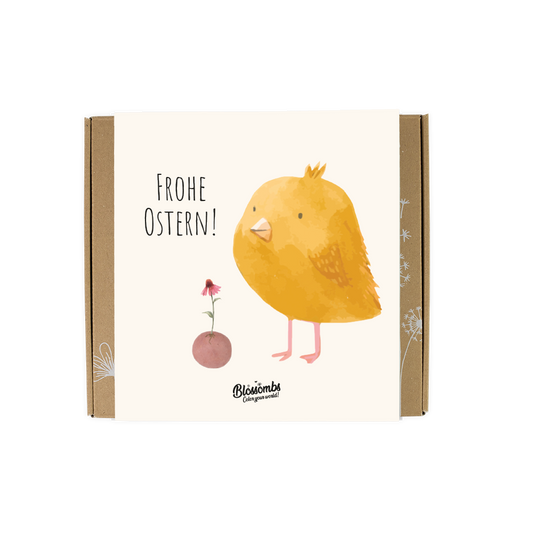 Ostern Geschenkbox Medium "Küken" mit 9 Samenbomben