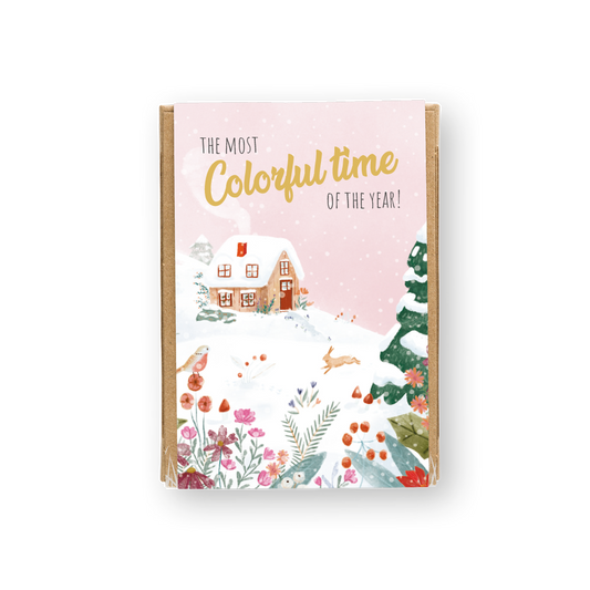 Weihnachtsgeschenkbox Mini mit 4 Samenbomben - The Most Colorful Time