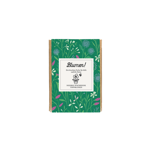 Geschenkbox Mini „Blumen!“ mit 4 Saatbomben der Topfblumen Mischung