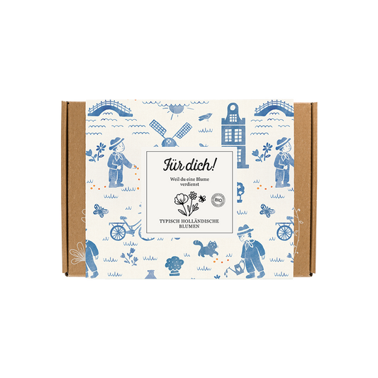 Geschenkbox Small „Für dich!“ mit 7 Saatbomben der Holländischen Mischung