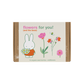 Miffy Gift Box Small mit 7 Samenbomben - Flowers For You