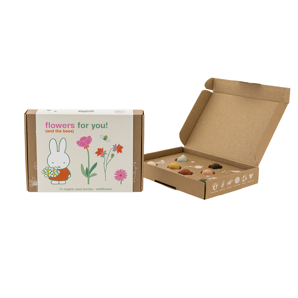 Miffy Gift Box Small mit 7 Samenbomben - Flowers For You