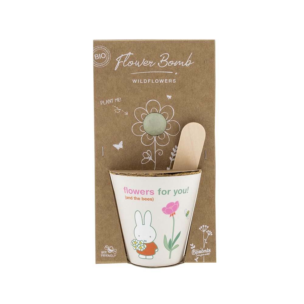 Miffy Grow Kit mit Samenbombe - Flowers For You