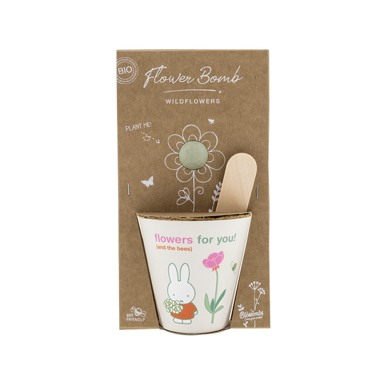 Miffy Grow Kit mit Samenbombe - Flowers For You