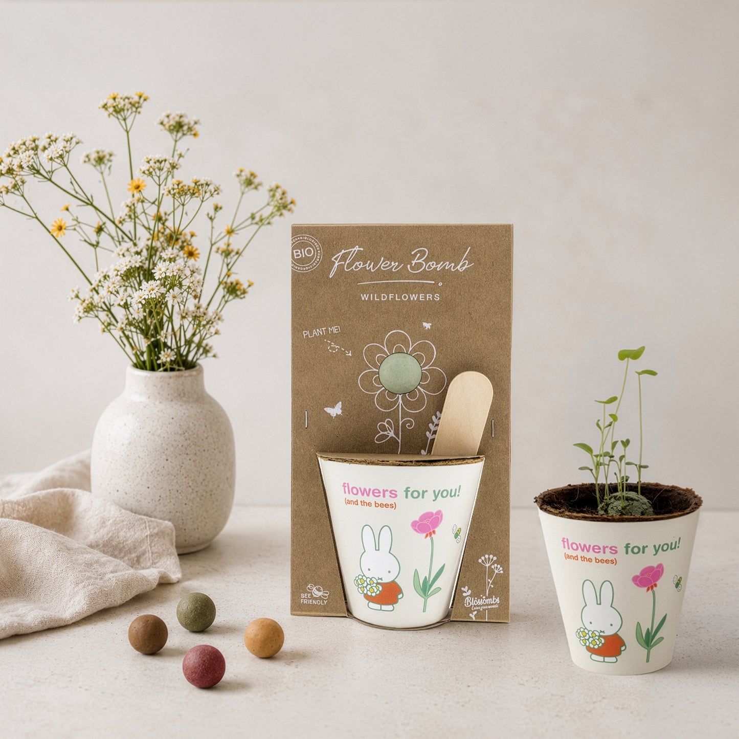Miffy Grow Kit mit Samenbombe - Flowers For You
