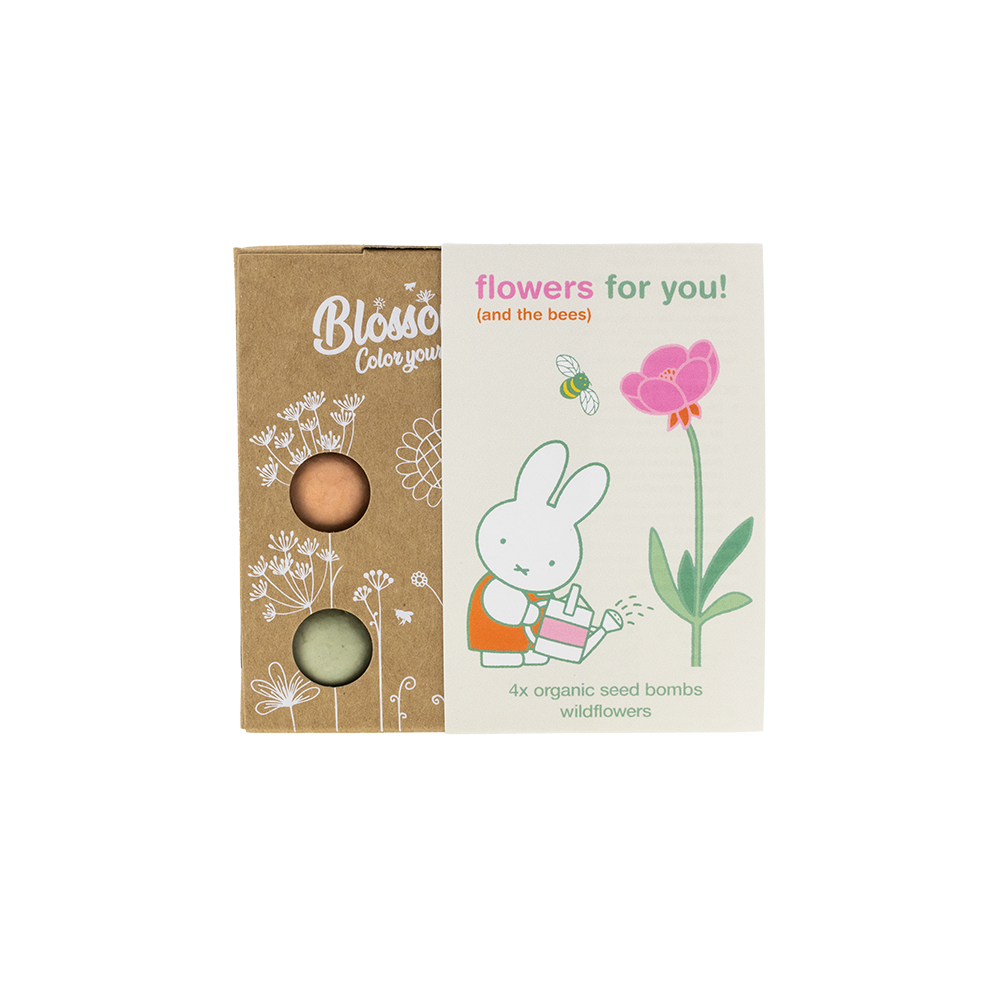 Miffy-Geschenkbox Mini mit 4 Samenbomben – Flowers For You
