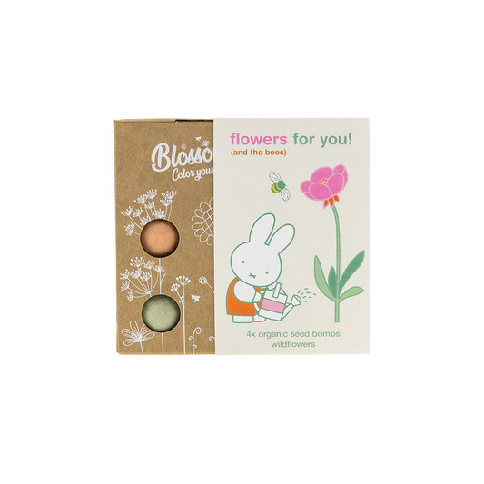 Miffy-Geschenkbox Mini mit 4 Samenbomben – Flowers For You