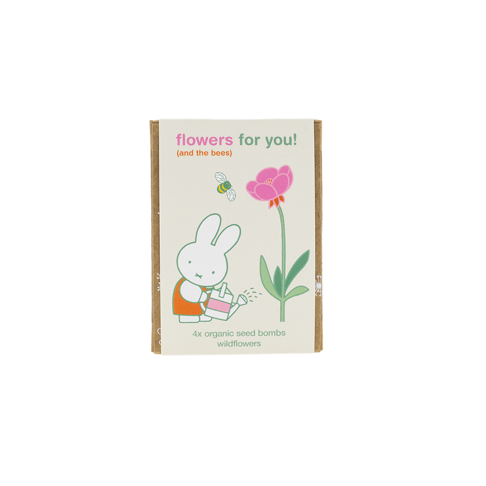 Miffy-Geschenkbox Mini mit 4 Samenbomben – Flowers For You