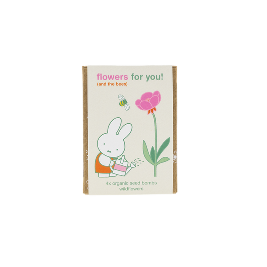 Miffy-Geschenkbox Mini mit 4 Samenbomben – Flowers For You