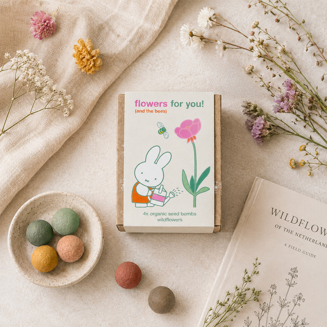 Miffy-Geschenkbox Mini mit 4 Samenbomben – Flowers For You