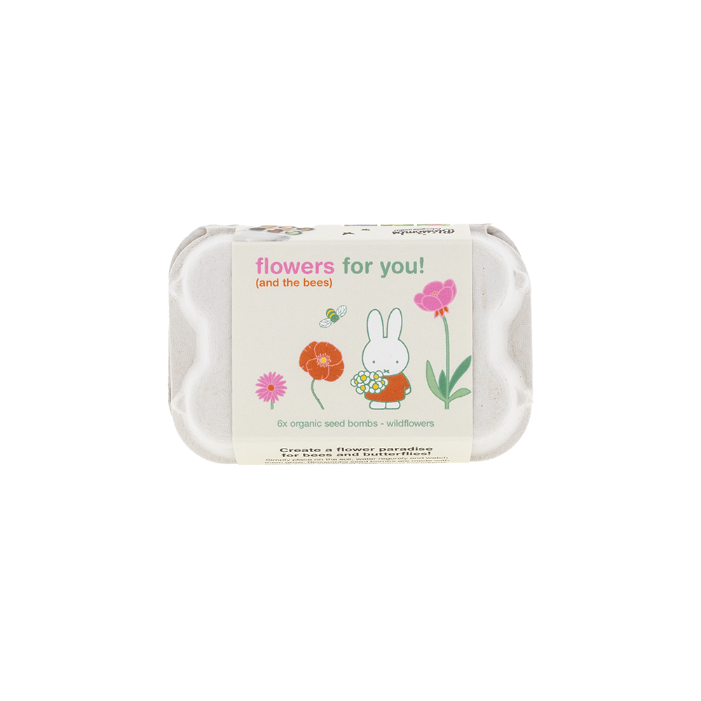 Miffy Eierschachtel mit 6 Samenbomben - Flowers for you