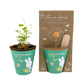 Miffy Grow Kit mit Samenbombe - Butterfly Garden For You