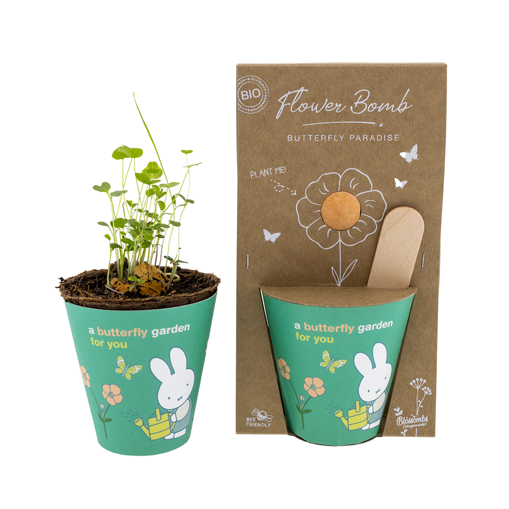 Miffy Grow Kit mit Samenbombe - Butterfly Garden For You