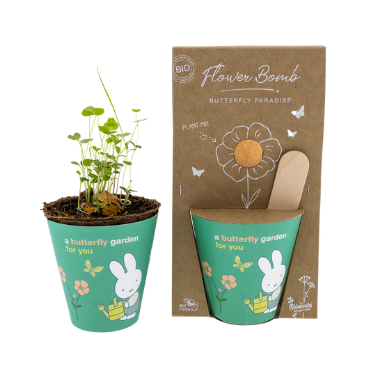 Miffy Grow Kit mit Samenbombe - Butterfly Garden For You