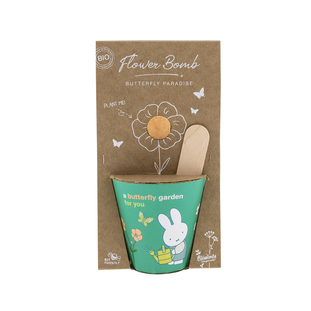 Miffy Grow Kit mit Samenbombe - Butterfly Garden For You