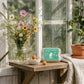 Miffy-Eierkarton mit 6 Samenbomben – Butterfly Garden for you