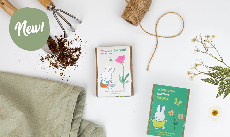 Miffy collection