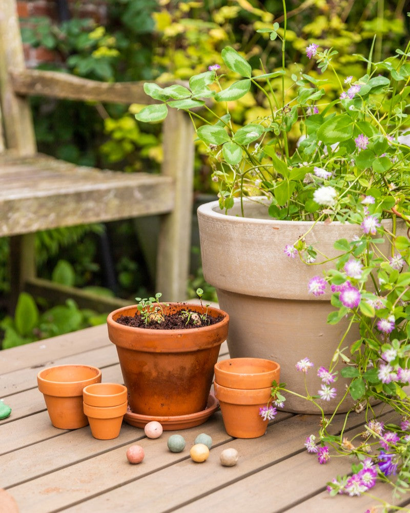 Pouch Bag met 25 Small Blossombs zaadbommetjes