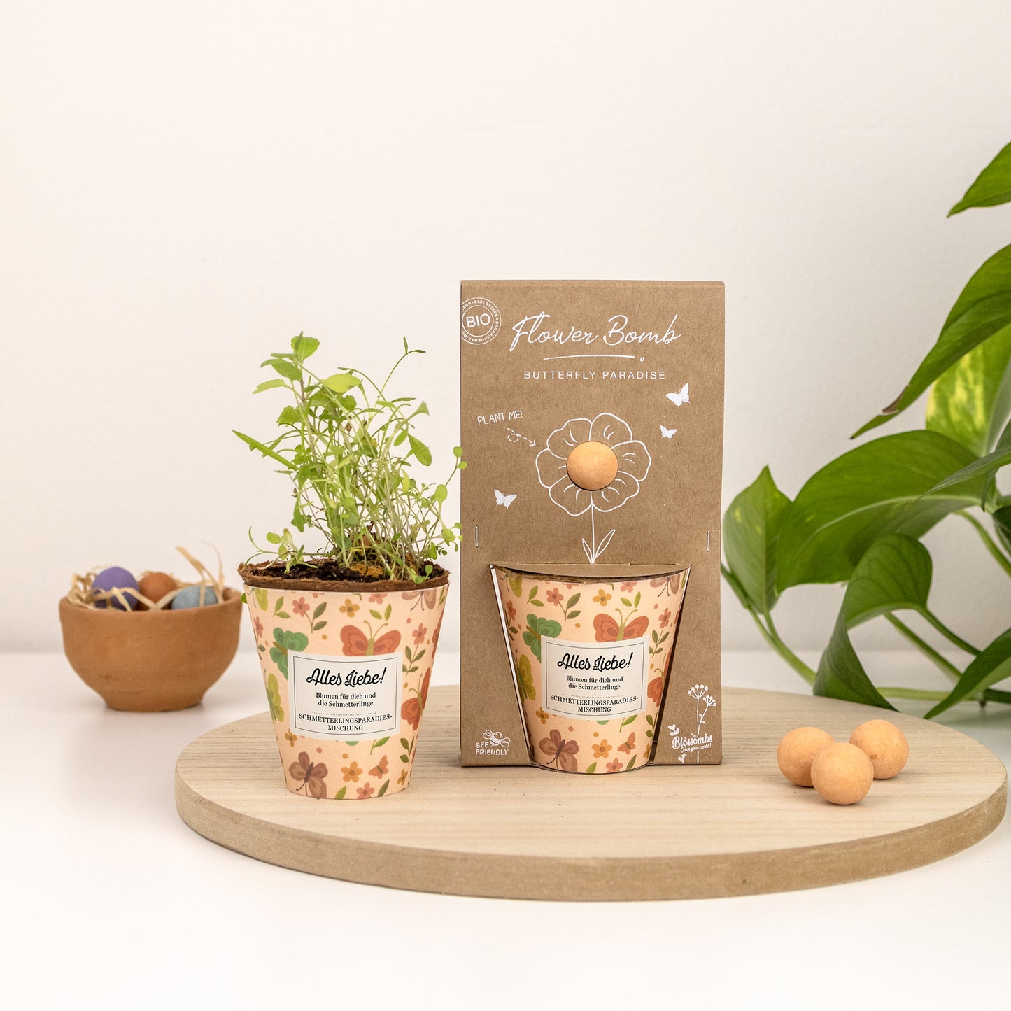 Grow Kit „Alles Liebe!“ mit Saatbombe der Schmetterlingsmischung