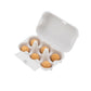Miffy-Eierkarton mit 6 Samenbomben – Butterfly Garden for you