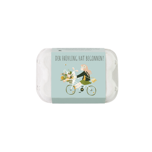 Geschenk-Eierschachtel "Der Frühling hat begonnen" mit 6 Samenbomben