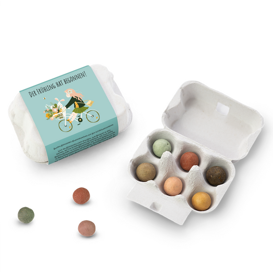 Geschenk-Eierschachtel "Der Frühling hat begonnen" mit 6 Samenbomben