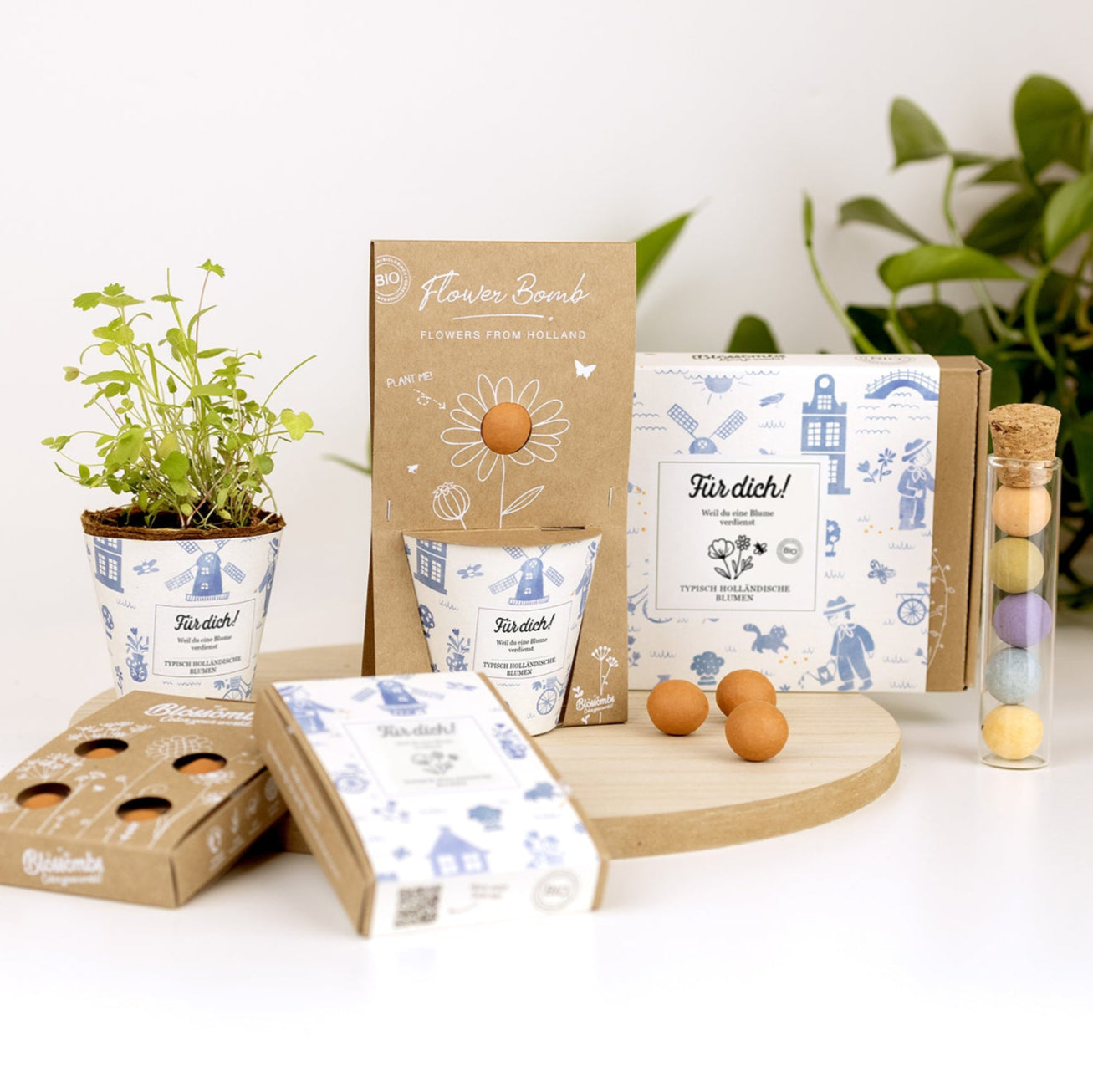 Grow Kit „Für dich!“ mit Saatbombe der Holländischen Mischung