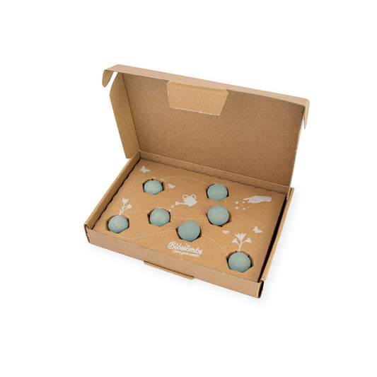 Geschenkbox Small „Denk an dich“ mit 7 Saatbomben der Vergissmeinnicht-Mischung