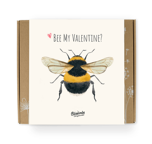 Valentinstag-Geschenkbox Medium - Biene
