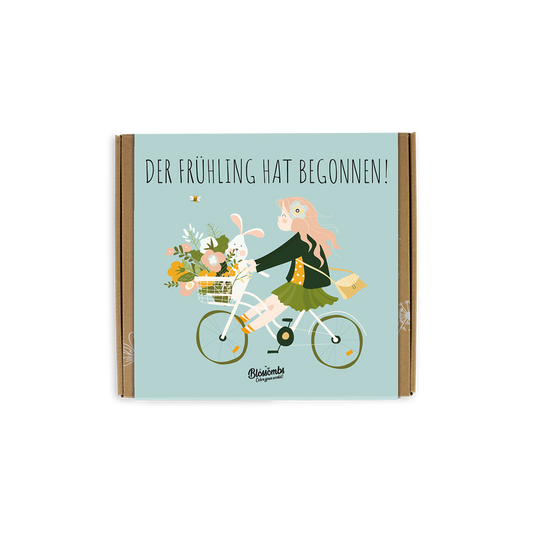 Geschenkbox Medium "Der Frühling hat begonnen" mit 9 Samenbomben