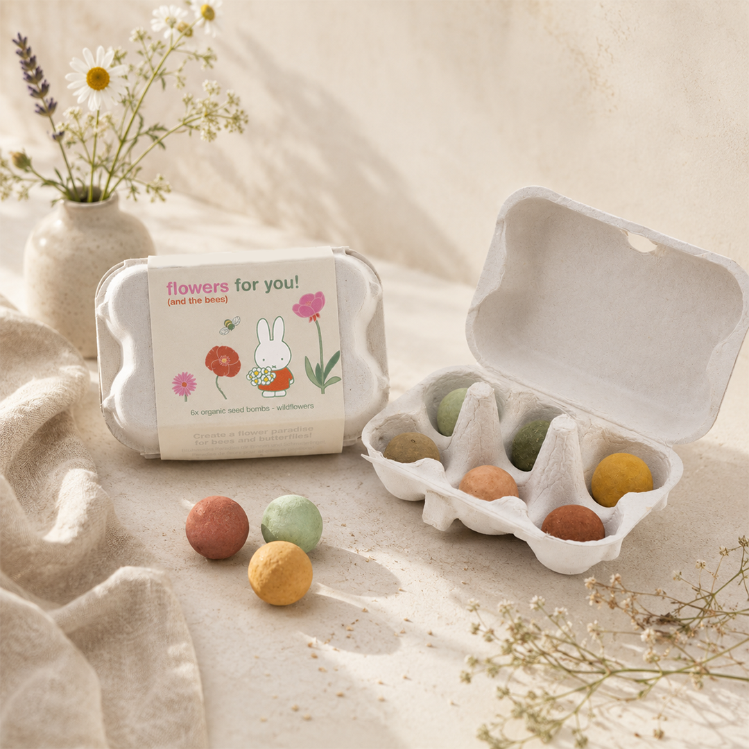 Miffy Eierschachtel mit 6 Samenbomben - Flowers for you