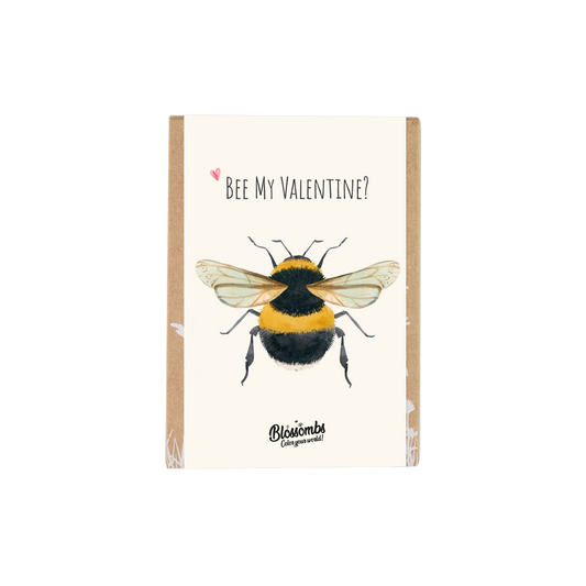 Valentinstag-Geschenkbox Mini - Biene