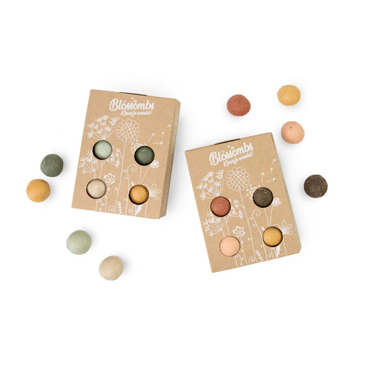 Mini Giftbox Blossombs