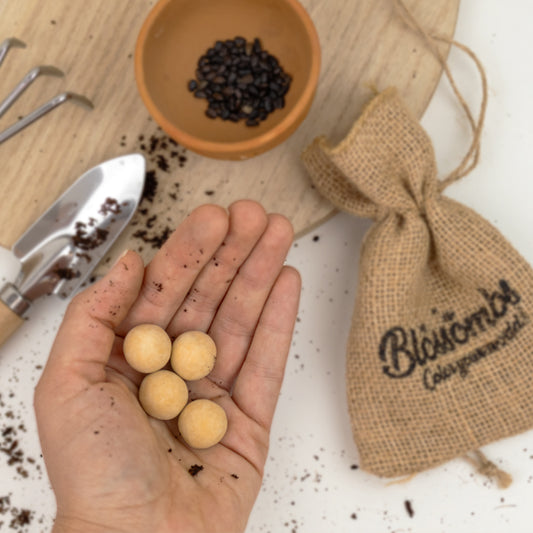 Grow Kit „Hurra!“ mit Saatbombe der Sonnenblumenmischung